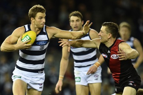 A tale of two teams: Cats ponder embarrassment of riches while Swans lick wounds