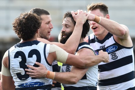 Selection headaches loom for Cats