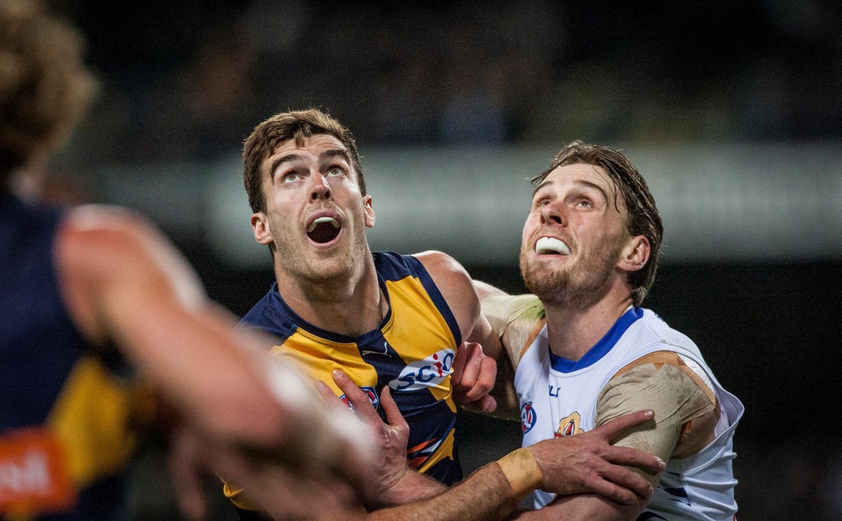 Scott Lycett of the West Coast Eagles and Jordan Roughead of the Western Bulldogs during the AFL Elimination Final between the West Coast Eagles and the Western Bulldogs at Domain Stadium Stadium in Perth, Thursday, Sept. 8, 2016. (AAP Image/Tony McDonough) NO ARCHIVING, EDITORIAL USE ONLY