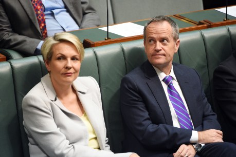 Shorten introduces marriage equality bill