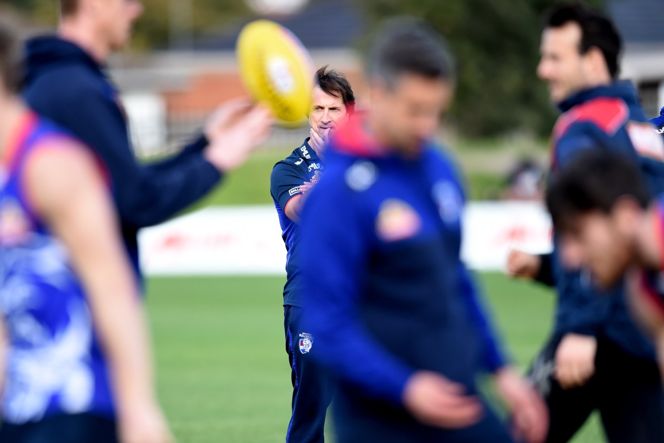 Luke Beveridge watches over a Western Bulldogs training session this week. Photo: Tracey Nearmy / AAP