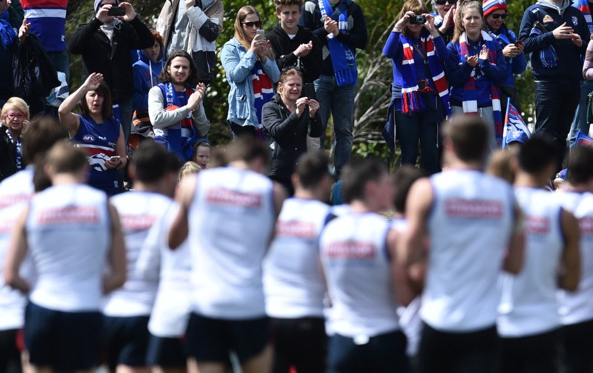Long-suffering Bulldogs fans at the team's final training session at Whitten Oval. Photo: Julian Smith / AAP