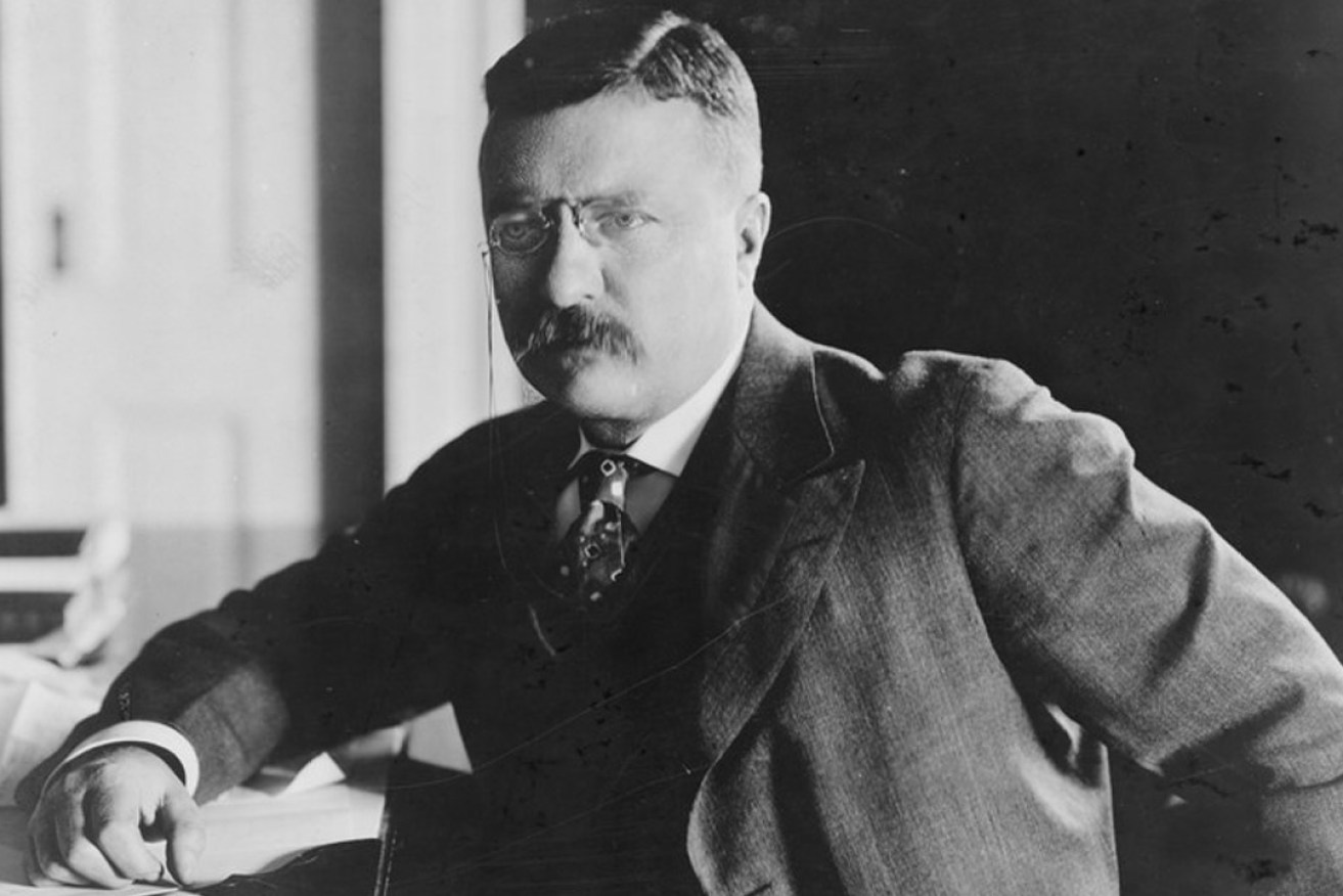 One of the most important American political dynasties emerged at the start of the 20th century when Theodore Roosevelt was elected vice-president and then president.