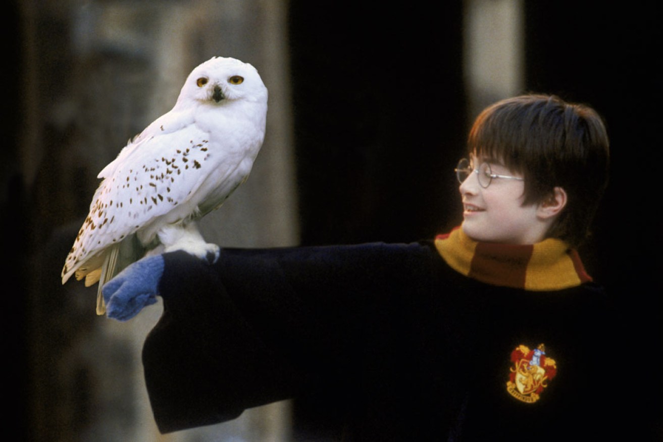 A scene from Harry Potter and the Philosopher's Stone.
