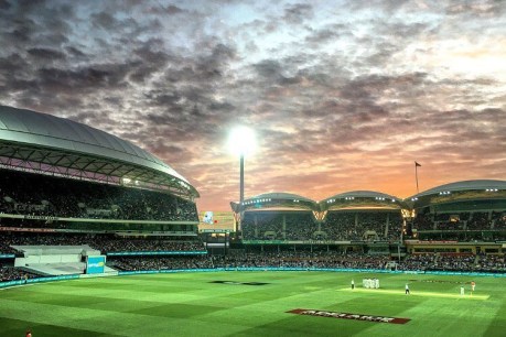 Pink-ball tour match at Adelaide Oval next month