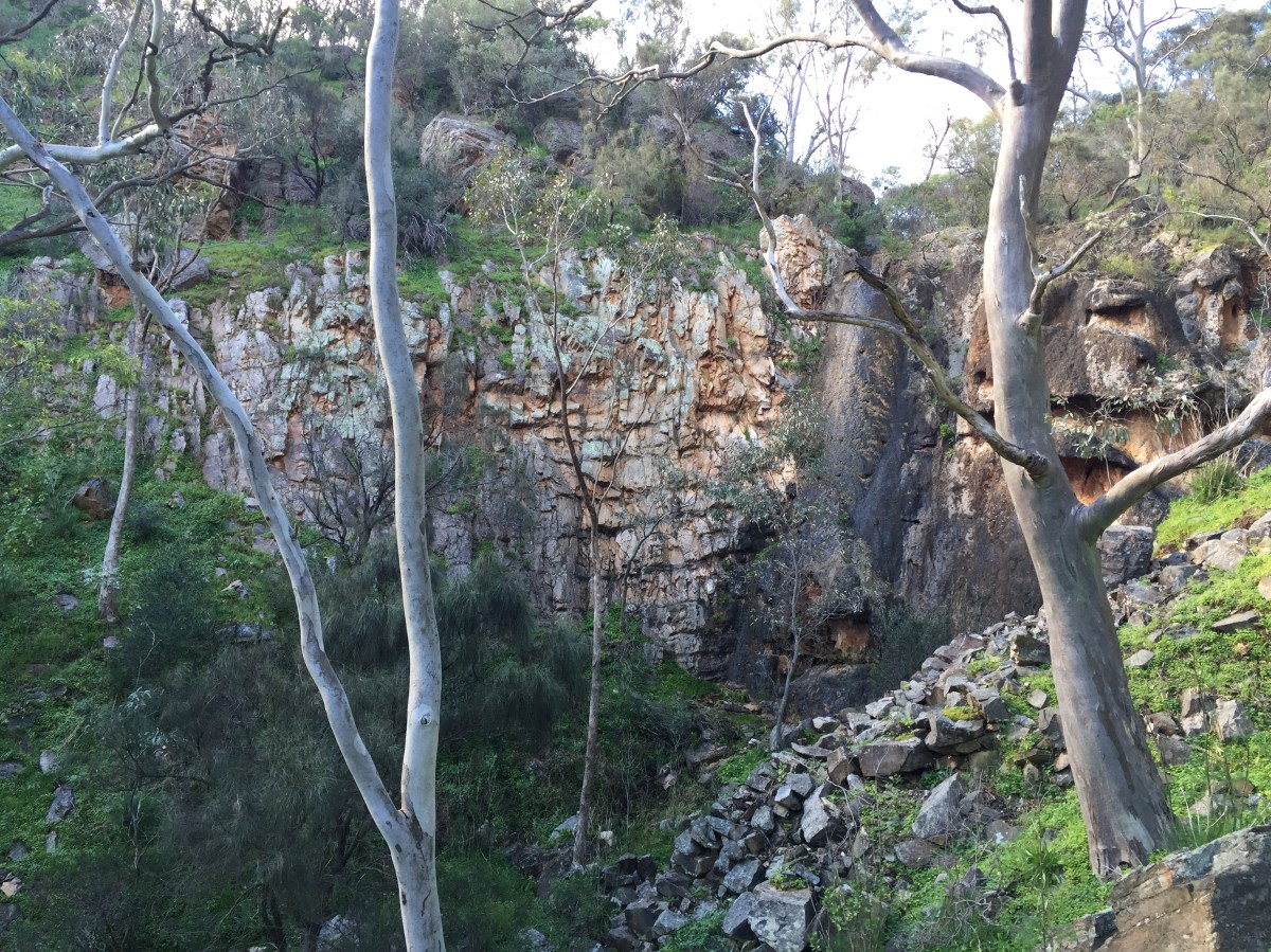 Adelaide's hidden walking trails