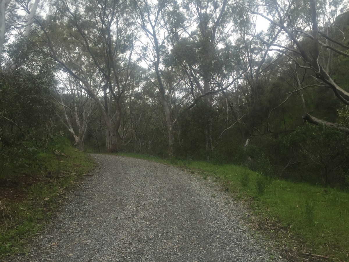 Adelaide's hidden walking trails