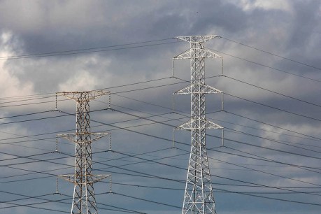 Govt to work with SACOSS to assess electricity concessions