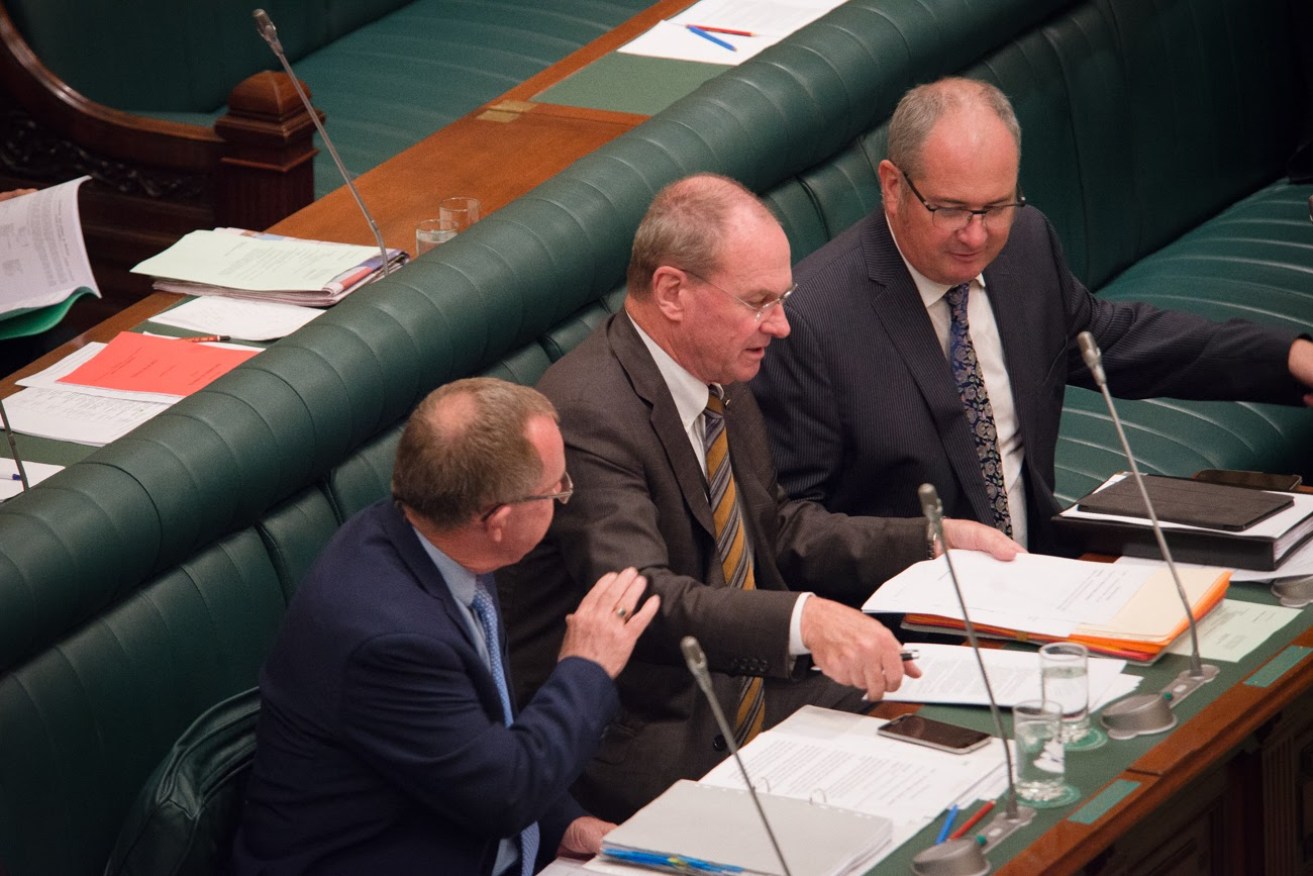 Martin Hamilton-Smith in parliament. Photo: Nat Rogers / InDaily