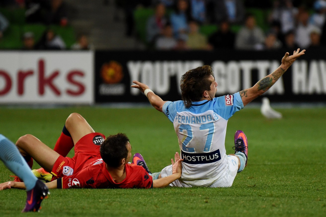 City's Fernando Brandan appeals to the referee after an awkward tackle by Adelaide's Sergio Guardiola. Photo: Tracey Nearmy / AAP