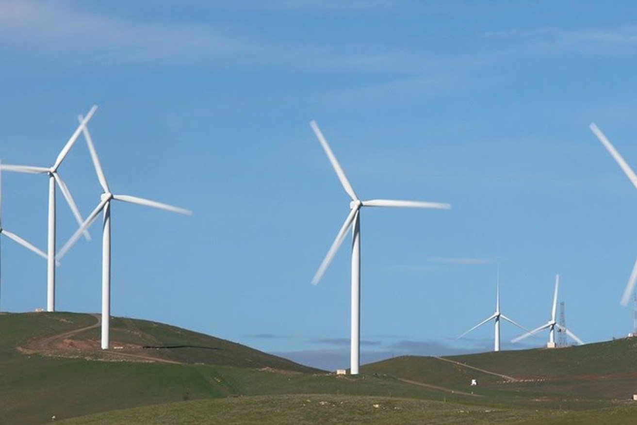 ZEN Energy has acquired three wind farms. Photo: Tony Lewis/InDaily.