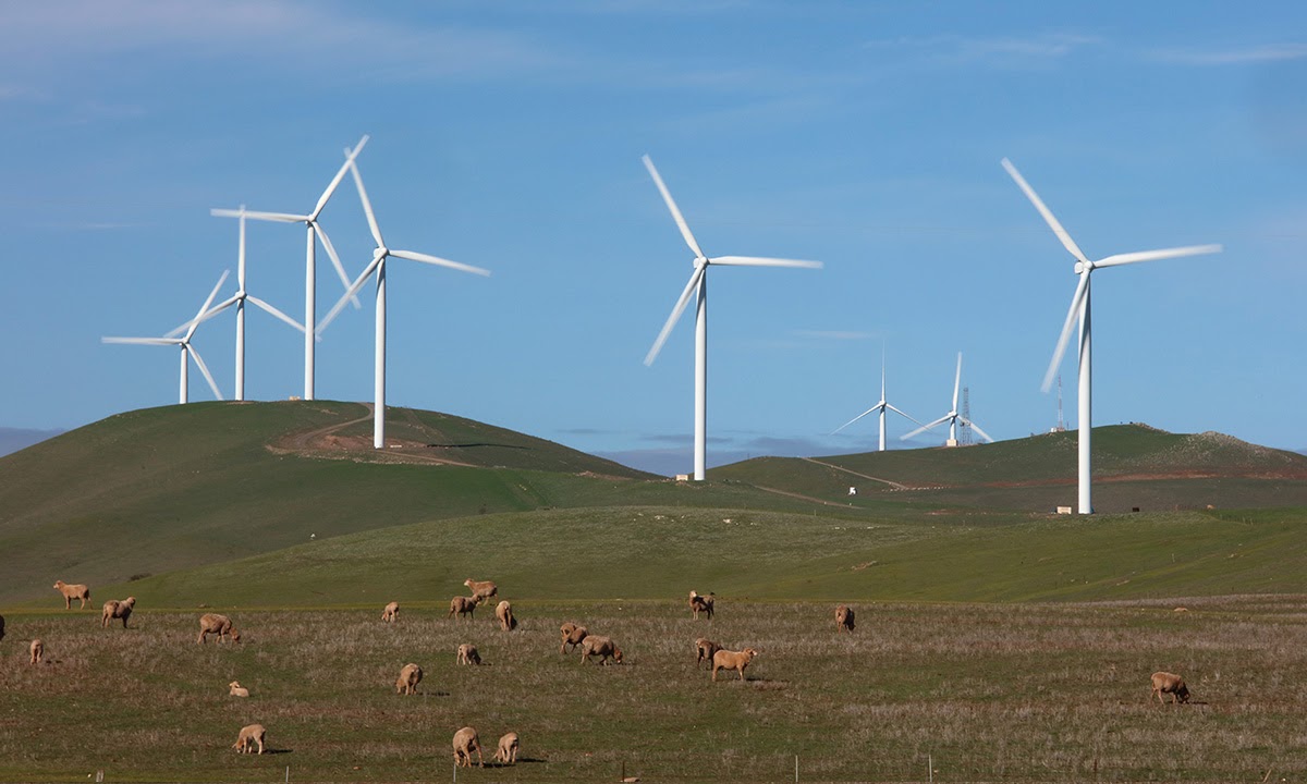 The Hallett windfarm in South Australia's mid north. Photo: Tony Lewis