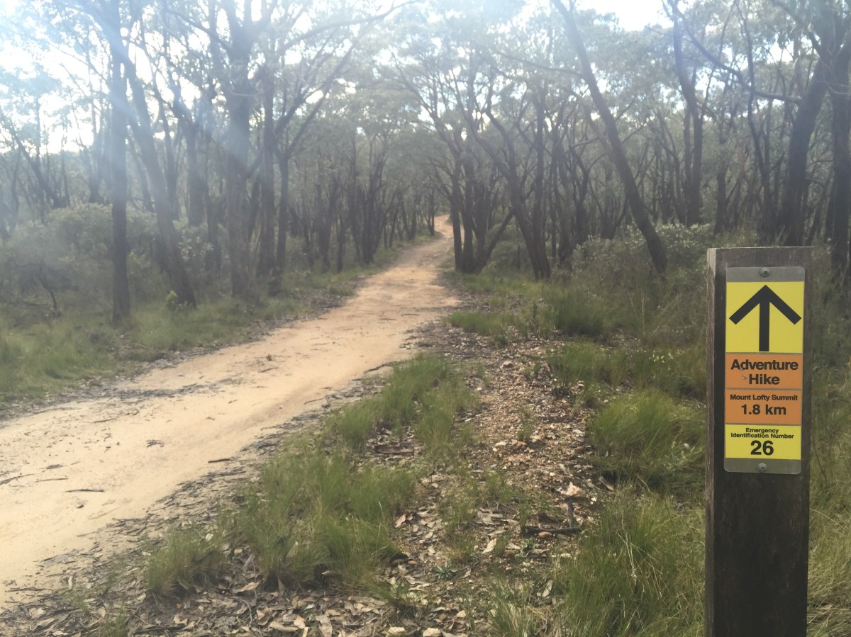 Discover Adelaide’s hidden walking trails: Measdays Lookout to Mt Lofty
