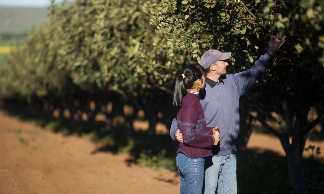 Michael and Jam Jolley at their carob orchard. 
