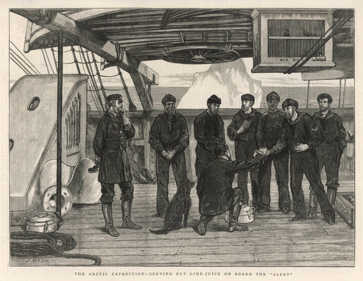 An illustration showing the serving of lime juice to prevent  scurvy during 'Alert' Artic expedition in  1875.