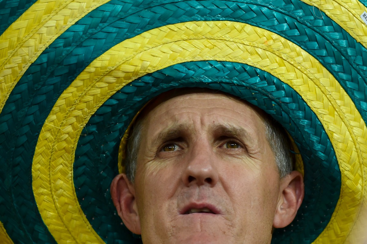 An Australian fan reacts ahead of the Group B game between Chile and Australia in Cuiaba Brazil, Friday, June 13, 2014. (AAP Image/Lukas Coch) NO ARCHIVING, EDITORIAL USE ONLY
