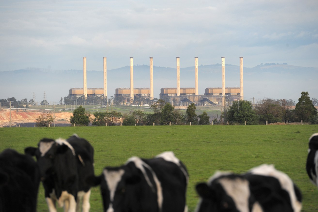The Hazelwood power station in Victoria. Photo: AAP/Julian Smith