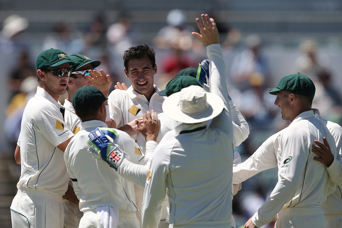 Mitchell Starc celebrates after taking the wicket of Faf du Plessis. Photo: Rob Griffith / AP