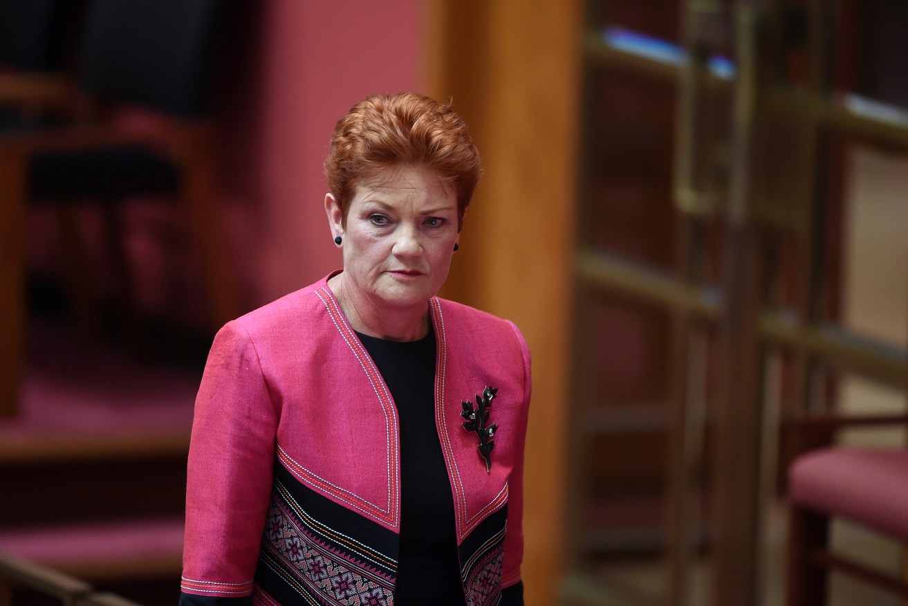 One Nation leader Pauline Hanson. Photo: AAP/Lukas Coch