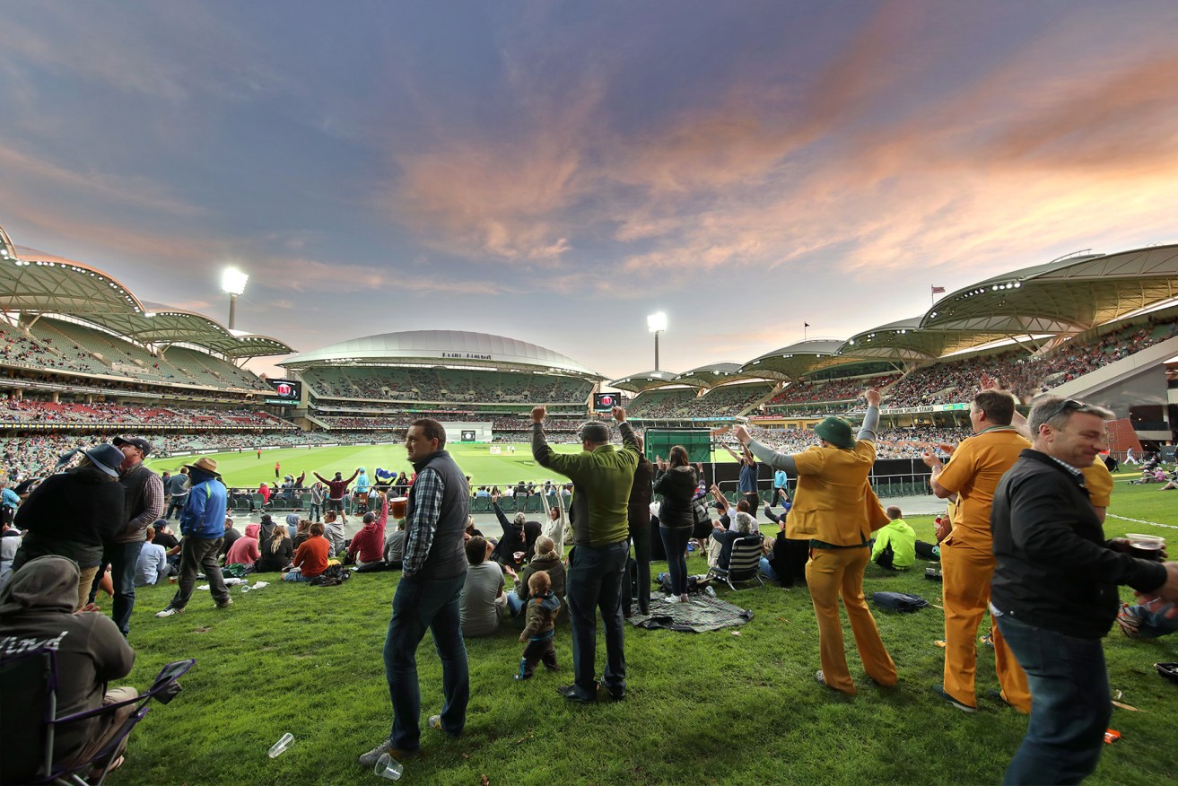 Revellers on the hill at the day night Test against South Africa. Photo: Tony Lewis / InDaily