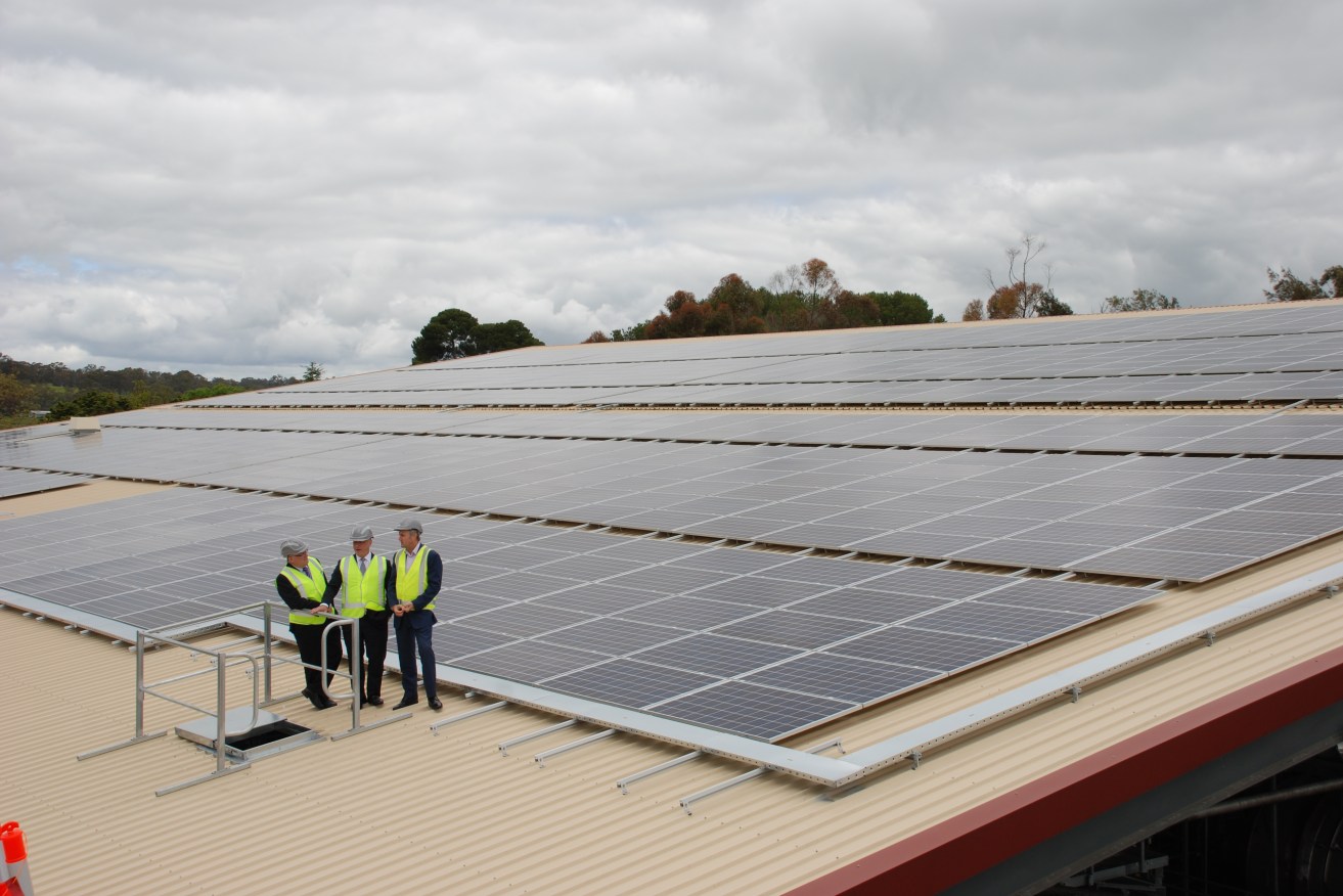 Yalumba's solar array. Left to right: South Australian environment minister Ian Hunter, AGL CEO Andy Vesey and Yalumba Wine Company managing director Nick Waterman.
