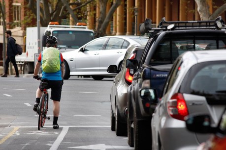 Your views: on bikeways, euthanasia and more