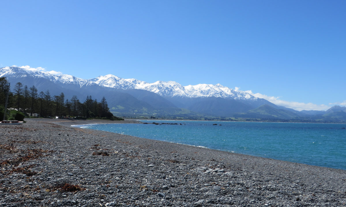 The beachfront at Kaikoura. Photo: Suzie Keen / InDaily