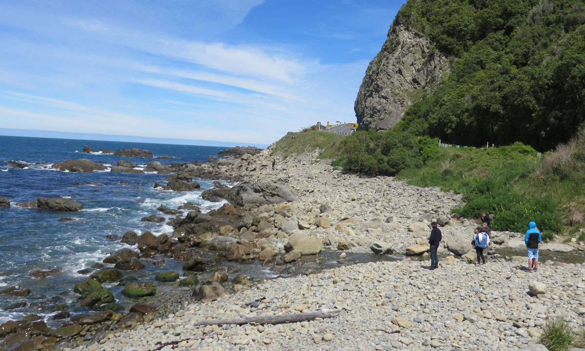 Tourists look for seals near the Ohau Waterfall track, north of Kaikoura. Photo: Suzie Keen / InDaily