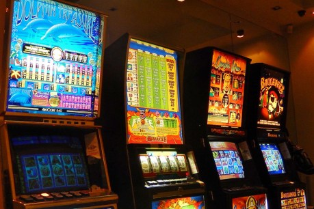 Your views: on pokies, tax reform and trees