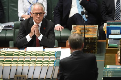 Coalition’s poll numbers fall after horror fortnight