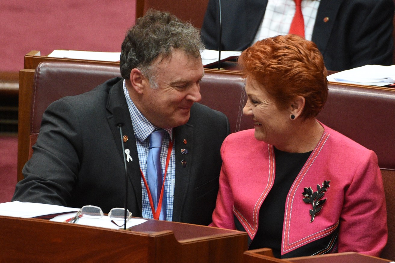 Rod Culleton and Pauline Hanson in the Senate. Photo: AAP/Mick Tsikas