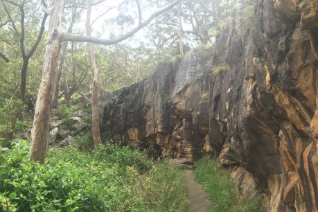 Adelaide walking trails: Belair National Park
