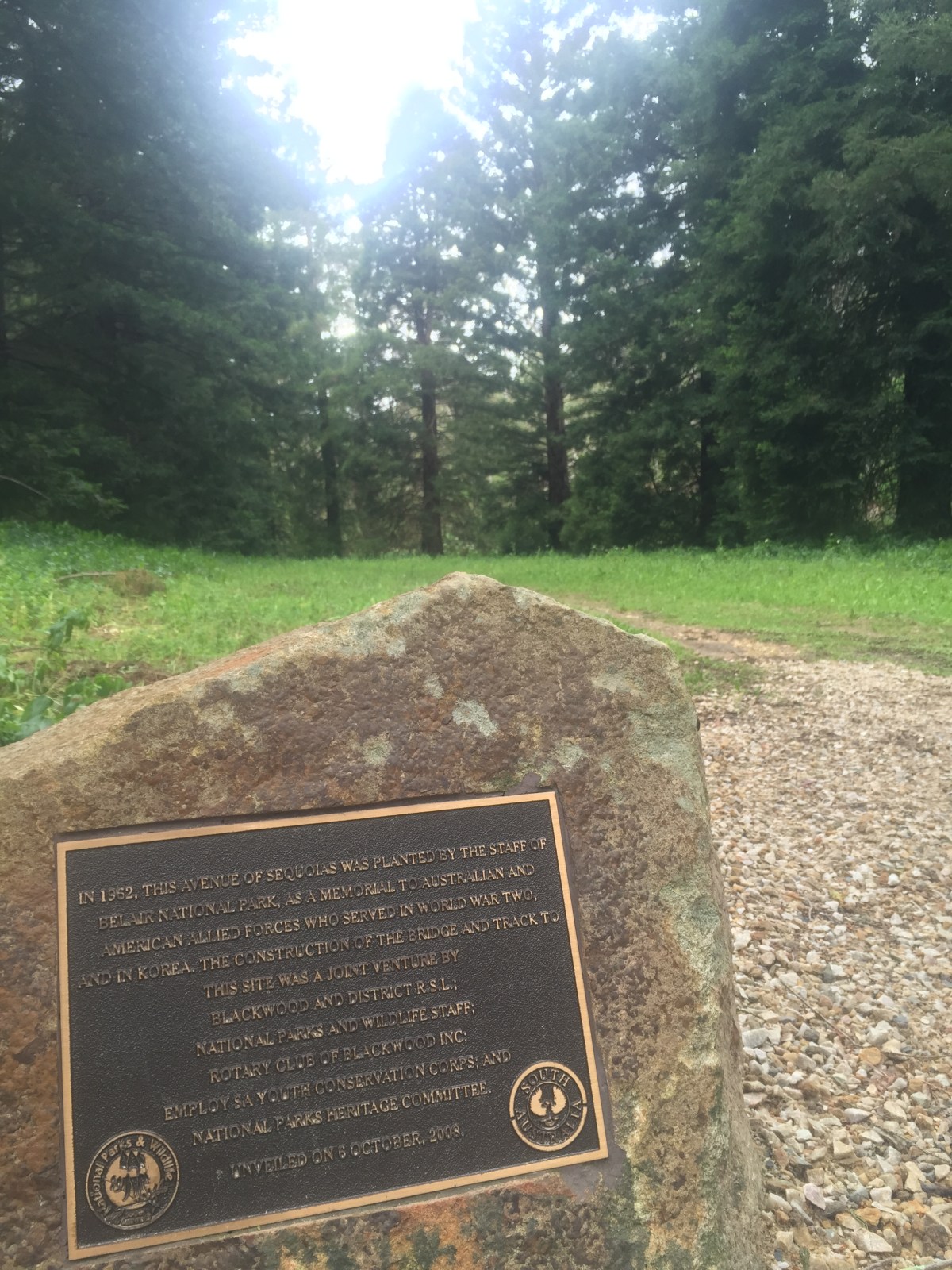 Sequoia plantation - World War II Memorial, Belair National Park. Photo: Jodie Vidakovic