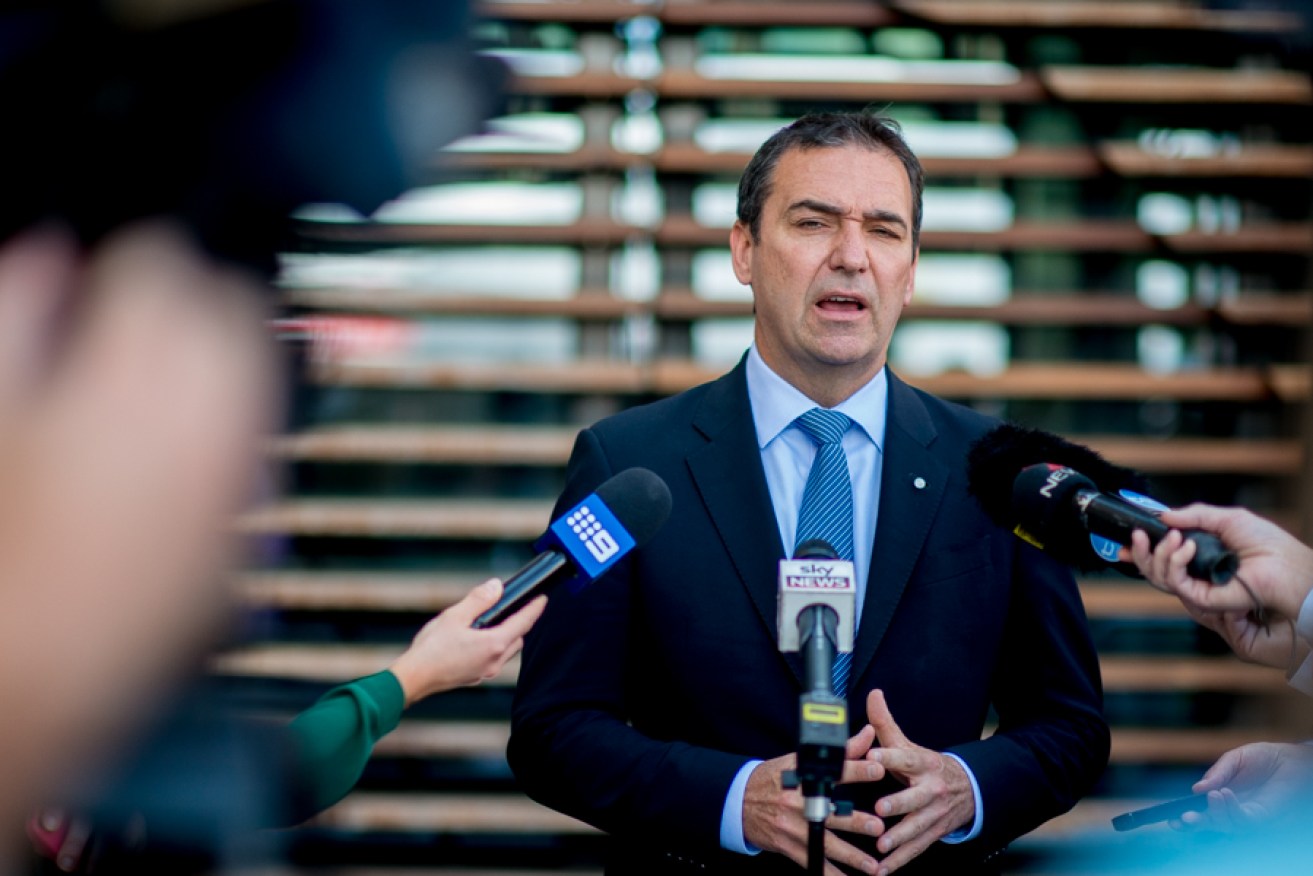 Liberal leader Steven Marshall needs to clean out the deadwood, writes Robert Campbell. Photo: Nat Rogers/InDaily
