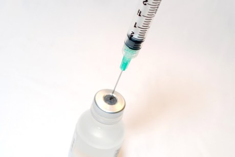 Free meningococcal vaccine for SA teenagers