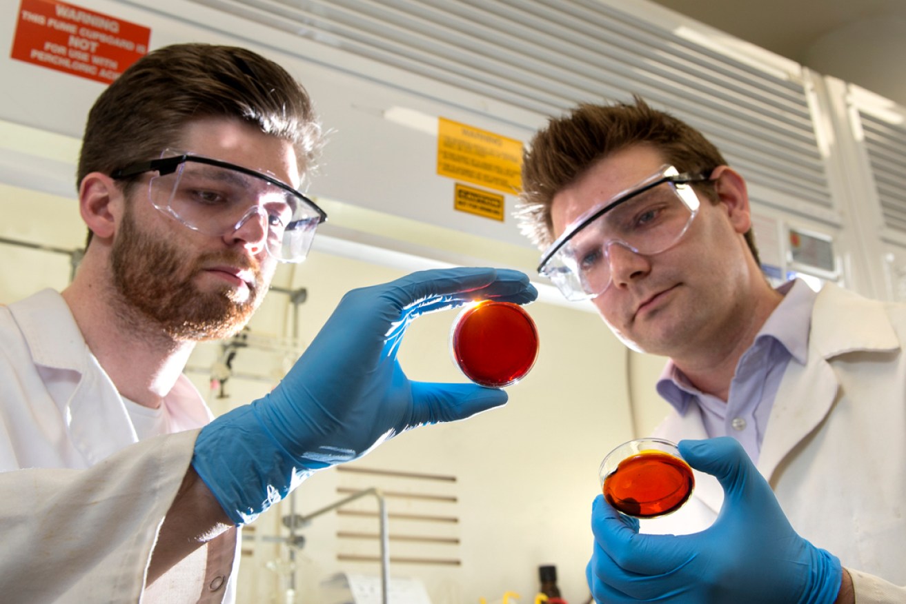 2016 SA Tall Poppy of the Year Dr Justin Chalker, right, with postgraduate student Max Worthington work on a pioneering mercury-absorbing polymer which removes the pollutant from water and soil.  
