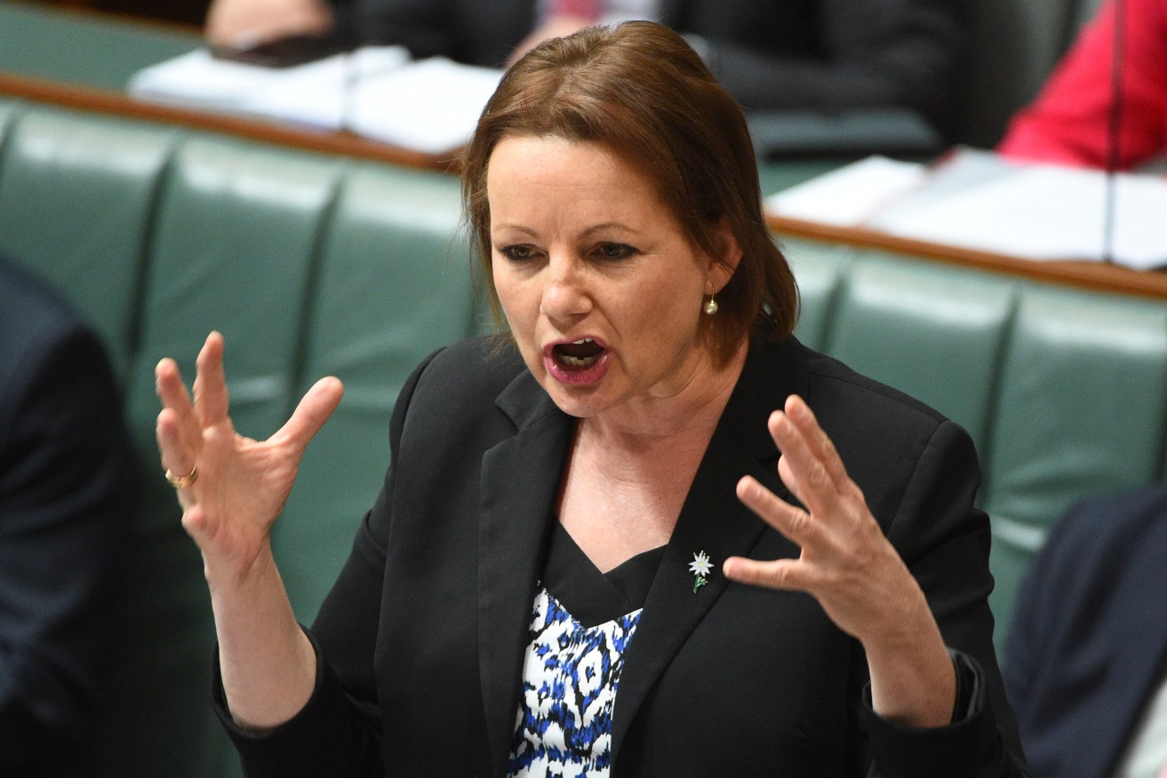 Sussan Ley's repeated trips to the Gold Coast have sparked a new push to reform MPs' entitlements. Photo: AAP/Mick Tsikas