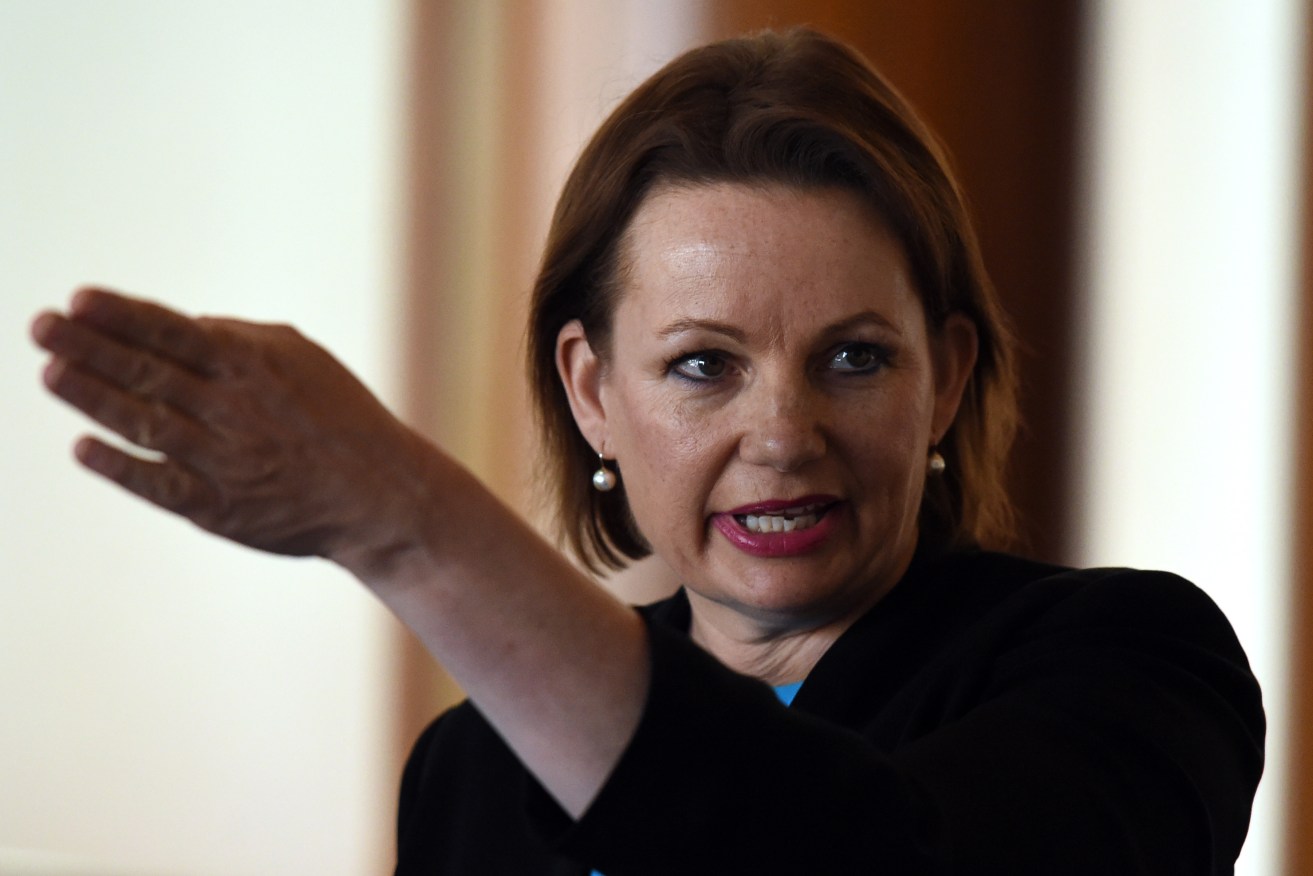 Former Health Minister Sussan Ley. Photo: AAP/Mick Tsikas
