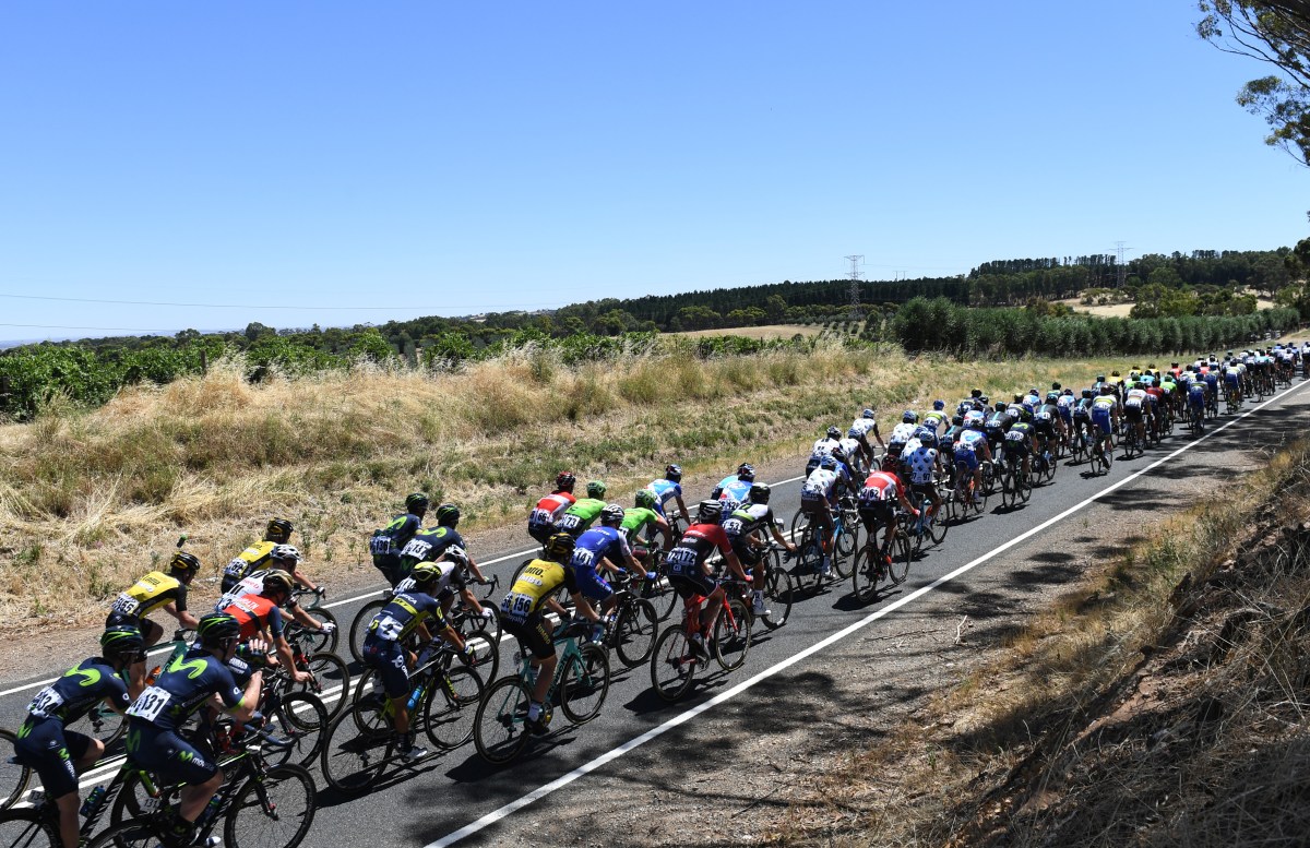 The peloton rides through the Barossa Valley during stage one of the Tour Down Under near Adelaide, Tuesday, Jan. 17, 2017. (AAP Image/Dan Peled) NO ARCHIVING, EDITORIAL USE ONLY