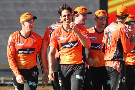 Mitch monsters Melbourne as Scorchers storm into final