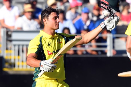 Second time lucky as Stoinis makes his mark in Auckland