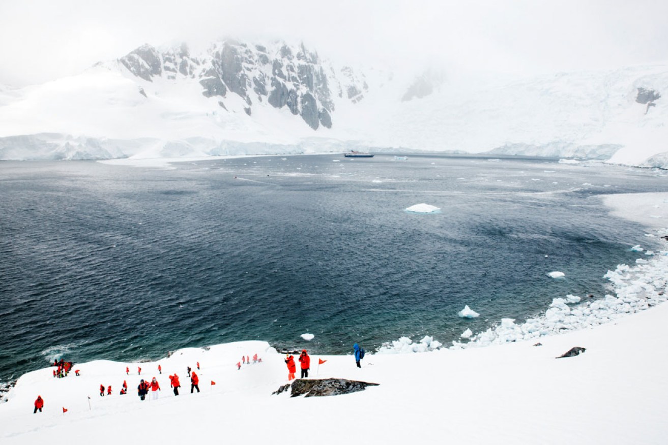 Trekkers with Chimu Adventures on the Antarctic Peninsula. Photo: AAP