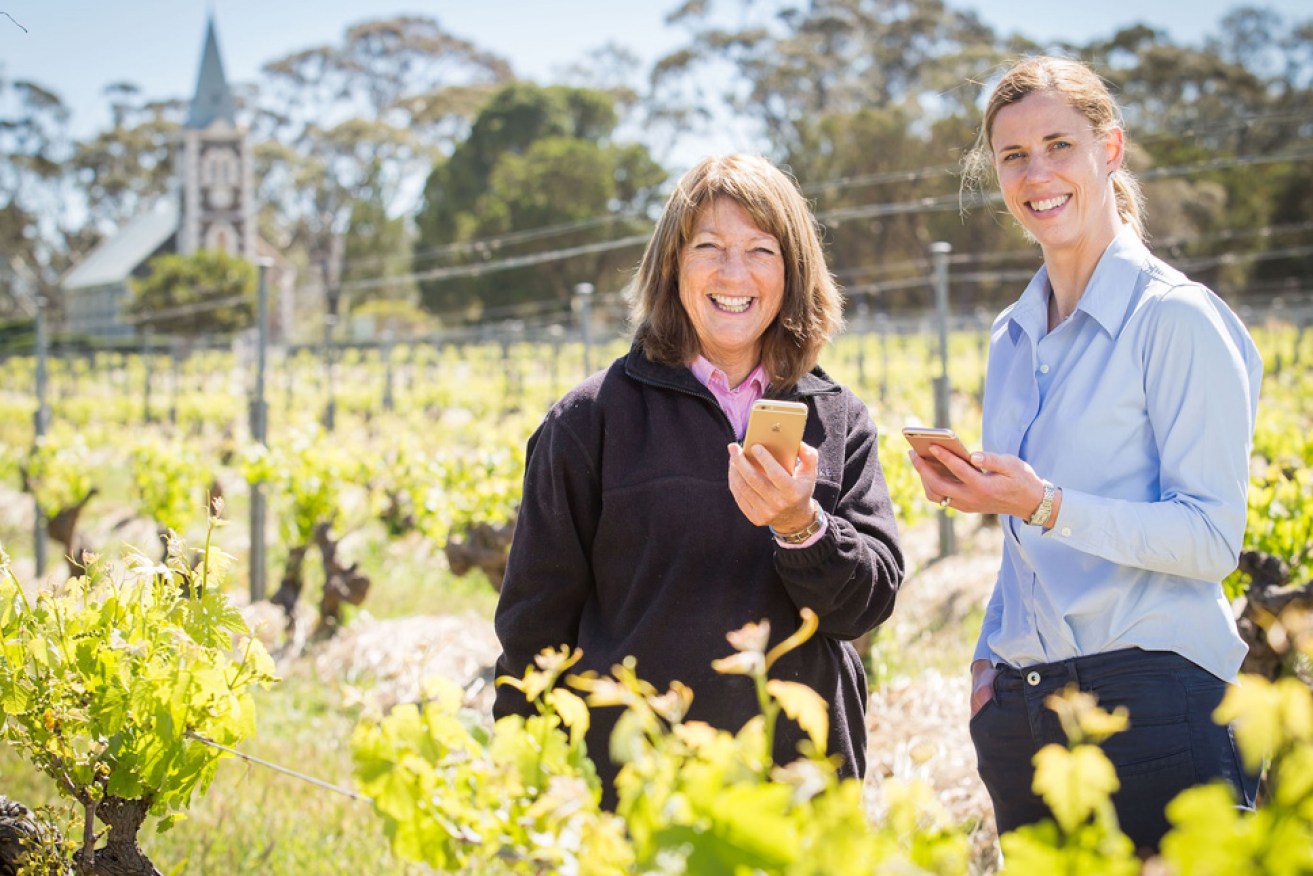 Henschke Cellars viticulturist Prue Henschke and Vinehealth Australia CEO Inca Pearce test the Boundary Rider app.