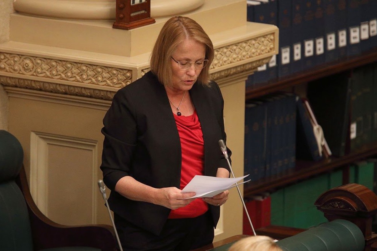 Former Elder MP Annabel Digance. Photo: Tony Lewis / InDaily 