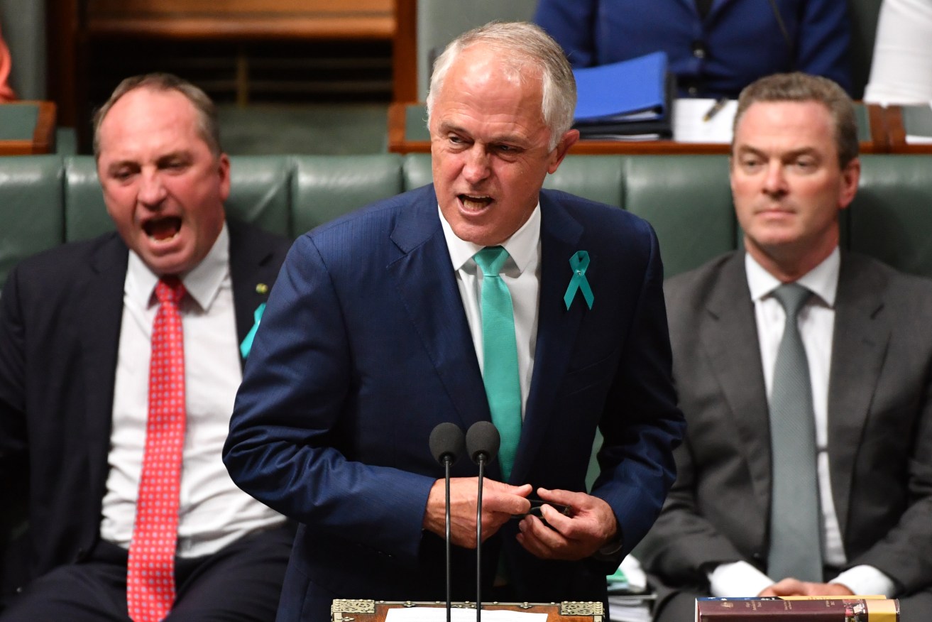Prime Minister Malcolm Turnbull unleashing on Bill Shorten yesterday, flanked by Barnaby Joyce (left) and Christopher Pyne. Photo: AAP/Mick Tsikas