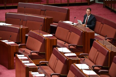 Liberal insider: With Bernardi gone, the “real right” will flex its muscles