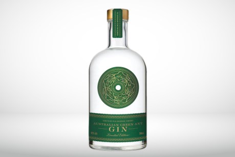 Green ants are flavour of the month in Hills gins