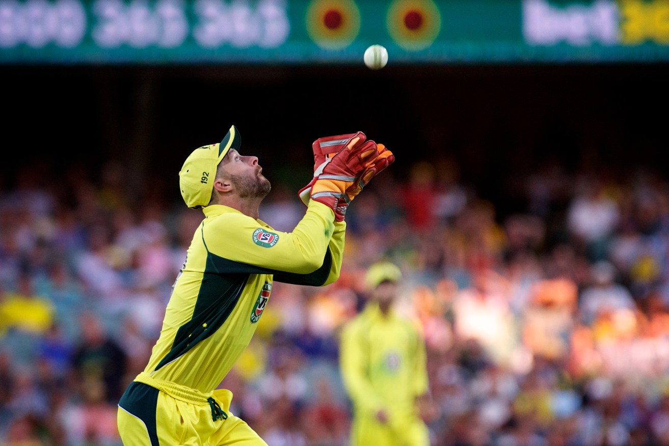 Matthew Wade with eyes for the ball during the Australia Day ODI in Adelaide. Photo: Michael Errey / InDaily