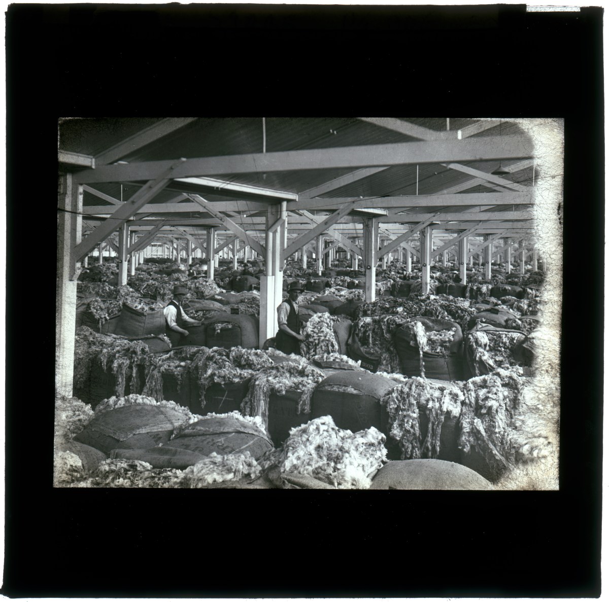 Men baling wool, Port Adelaide wool store, about 1950 Courtesy State Library of South Australia (1)