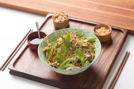Taste the World: Vietnamese Chicken Salad